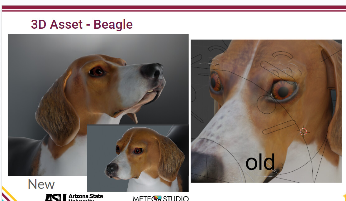 XR Pre-Vet Training image